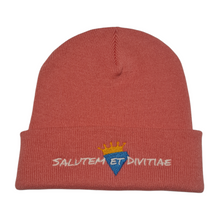 Load image into Gallery viewer, Salutem et Divitiae Beanie