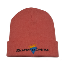 Load image into Gallery viewer, Salutem et Divitiae Beanie