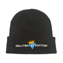 Load image into Gallery viewer, Salutem et Divitiae Beanie