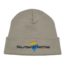 Load image into Gallery viewer, Salutem et Divitiae Beanie
