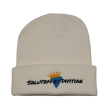 Load image into Gallery viewer, Salutem et Divitiae Beanie