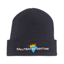 Load image into Gallery viewer, Salutem et Divitiae Beanie