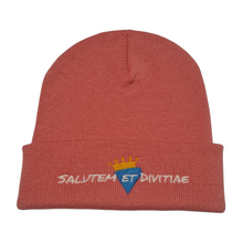 Load image into Gallery viewer, Salutem et Divitiae Beanie
