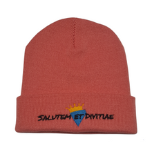 Load image into Gallery viewer, Salutem et Divitiae Beanie
