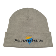 Load image into Gallery viewer, Salutem et Divitiae Beanie
